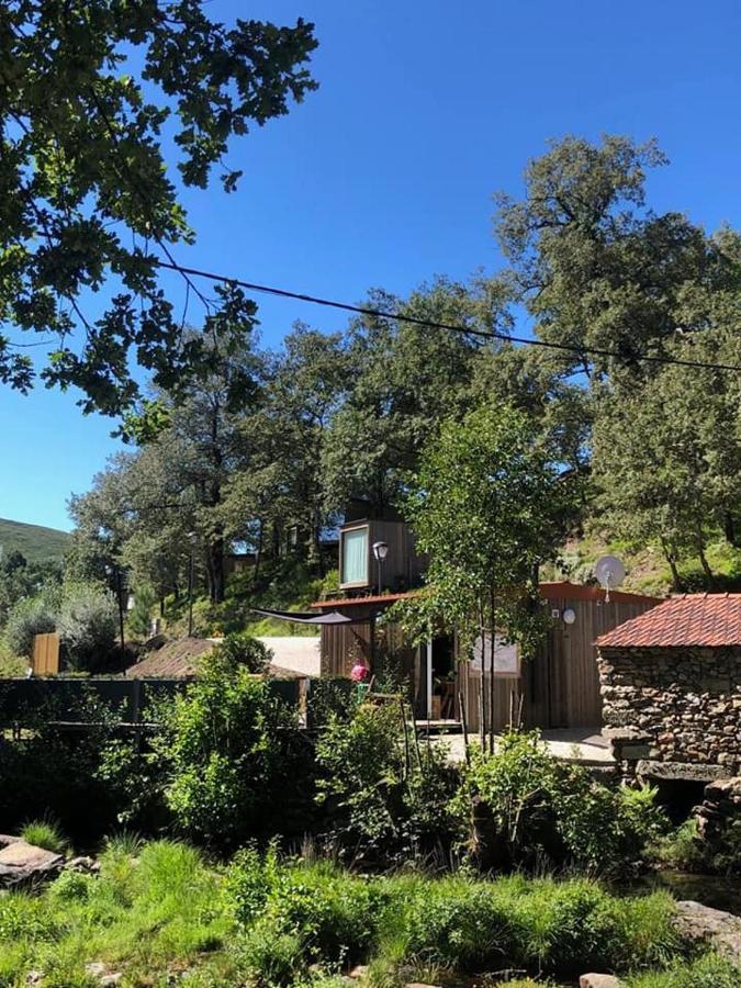 Ninho Da Avo Selvagem Villa Montalegre Exteriör bild