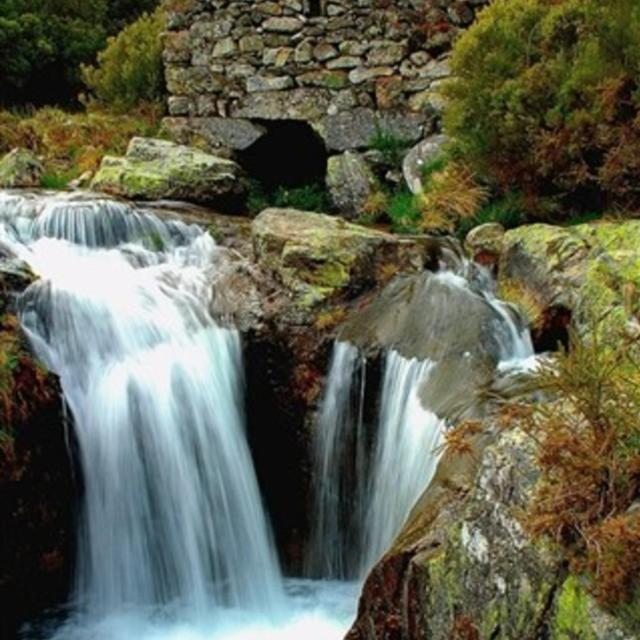 Ninho Da Avo Selvagem Villa Montalegre Exteriör bild